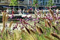 Holstenfleet 00001 ©Lh Kiel - Barbara Westendorf.jpeg