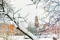 Das Kieler Rathaus im Schnee 00004 ©Lh Kiel - Bodo Quante.jpg