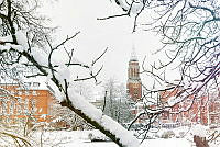 Das Kieler Rathaus im Schnee 00004 ©Lh Kiel - Bodo Quante.jpg
