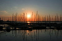 Sonnenaufgang am Sporthafen Wik ©Landeshauptstadt Kiel - Barbara Westendorf.JPG