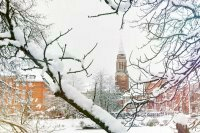 Das Kieler Rathaus im Schnee 00004 ©Lh Kiel - Bodo Quante.jpg