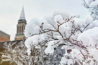 Das Kieler Rathaus im Schnee 00006 ©Lh Kiel - Bodo Quante.jpg