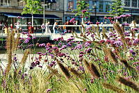 Holstenfleet 00001 ©Lh Kiel - Barbara Westendorf.jpeg