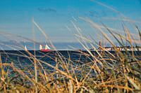 Am Falckensteiner Strand 00002 ©Lh Kiel - Barbara Westendorf.jpeg