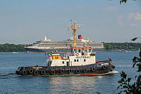 Kreuzfahrtschiffe in Kiel 00005 ©Lh Kiel - Barbara Westendorf.JPG