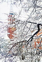 Das Kieler Rathaus im Schnee 00005 ©Lh Kiel - Bodo Quante.jpg