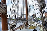 Traditionssegler in Kiel 00001 © Lh Kiel - Alexandra Brecht.jpg