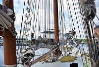 Traditionssegler in Kiel 00001 © Lh Kiel - Alexandra Brecht.jpg