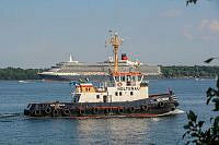 Kreuzfahrtschiffe in Kiel 00005 ©Lh Kiel - Barbara Westendorf.JPG